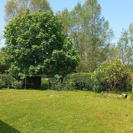 Apartman V Jame Černá v Pošumaví Dış mekan fotoğraf