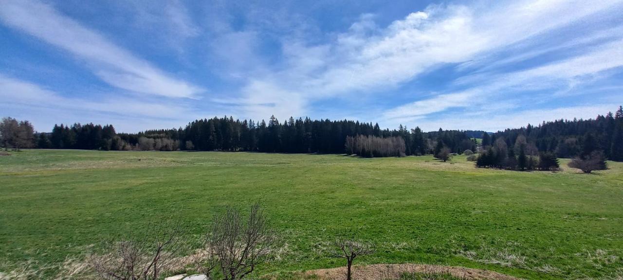 Apartman V Jame Černá v Pošumaví Dış mekan fotoğraf